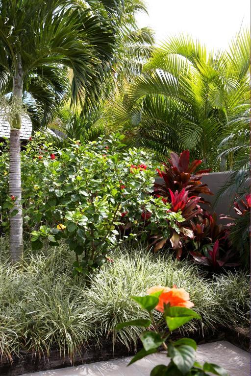 Te Vakaroa Villas Rarotonga Zewnętrze zdjęcie